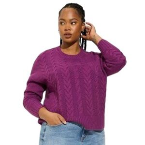Size 1: Torrid Cable Crop Pullover Sweater